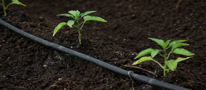 Sales and Marketing – The Evolving Relationship