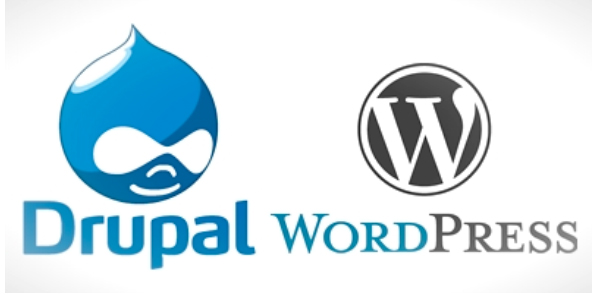 dupalwordpress