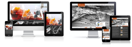 Responsive Website