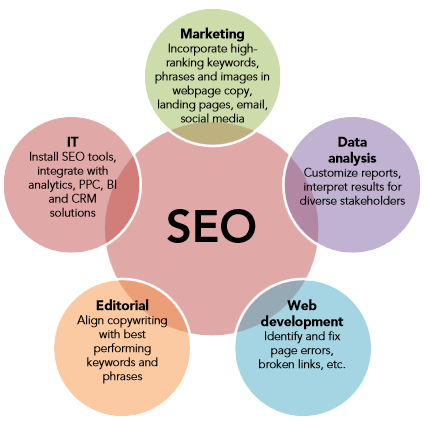 SEO Platforms Market Trends