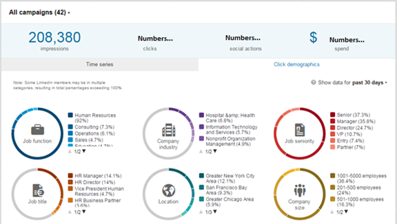 LinkedIn Audience Insights